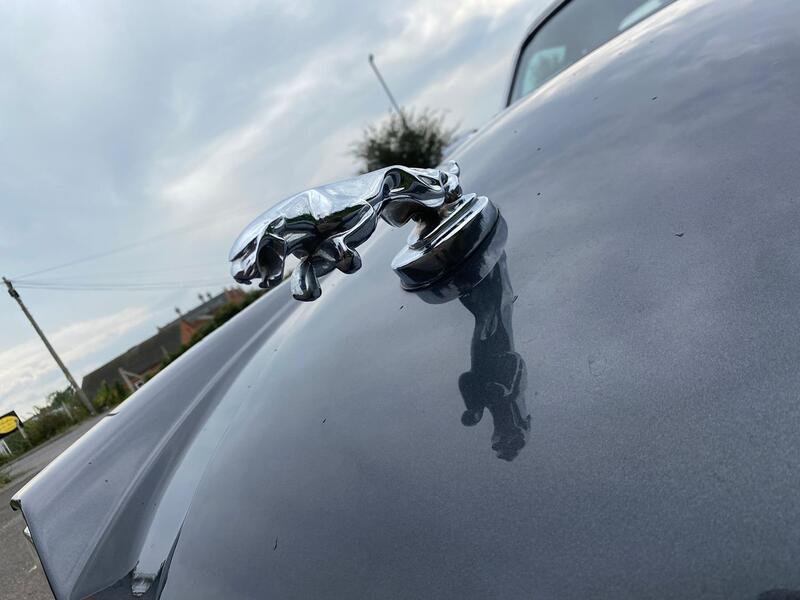 JAGUAR XJS